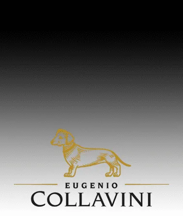 Collavini