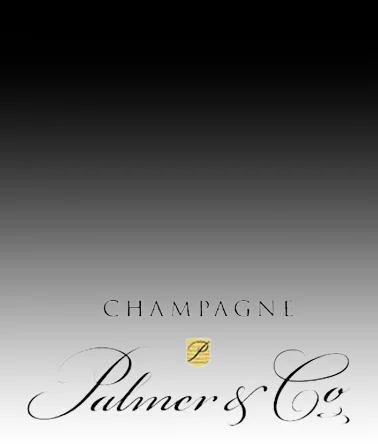 Palmer & Co