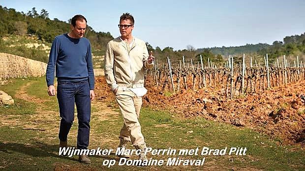Miraval-Côtes de Provence Rosé / Brad Pitt & Familie Perrin 2021